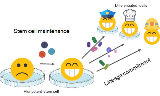 Emoji stem cells 1