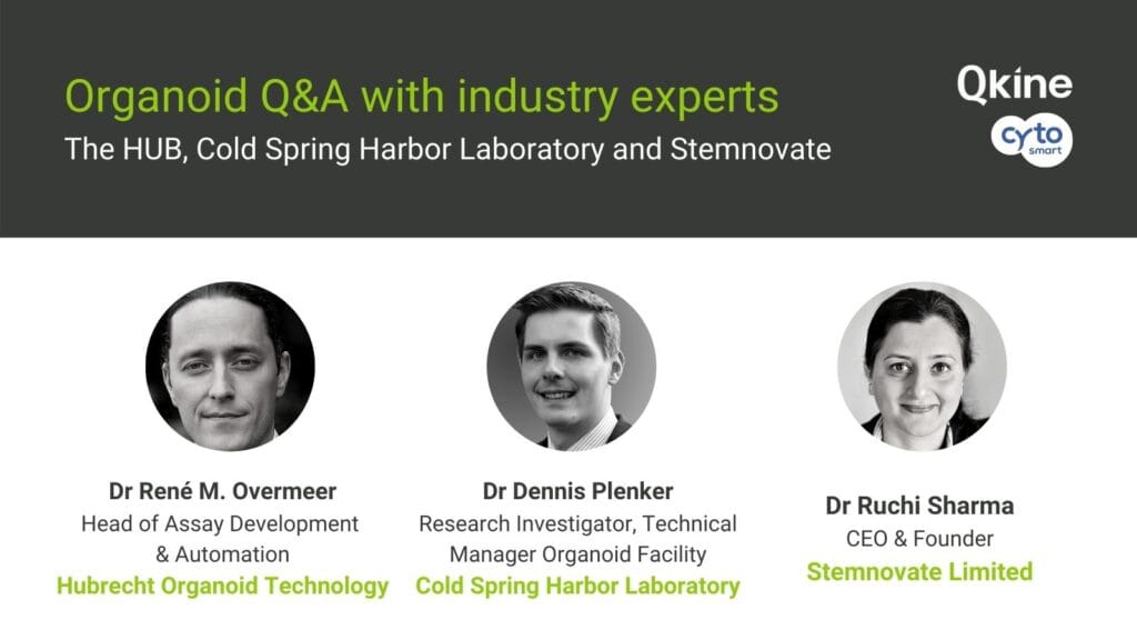 Organoid Q&A with industry experts from the HUB, CSHL and Stemnovate image