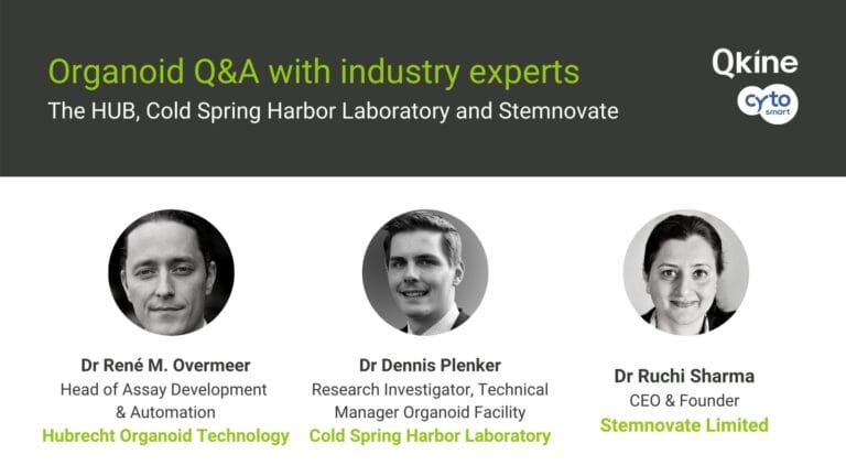 Organoid Q&A with industry experts from the HUB, CSHL and Stemnovate image