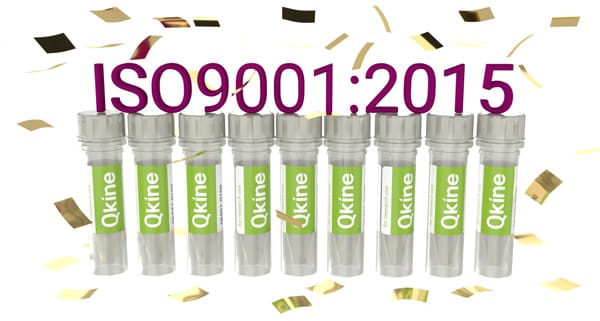 Qkine celebrates ISO9001:2015 certification