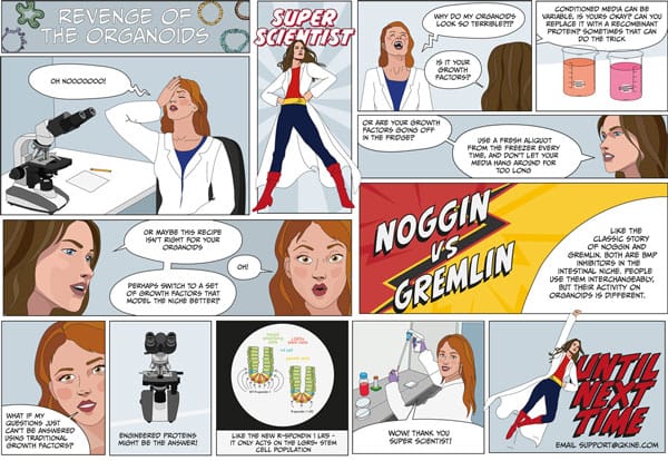 revenge of the organoids comic noggin vs gremlin and engineered growth factors