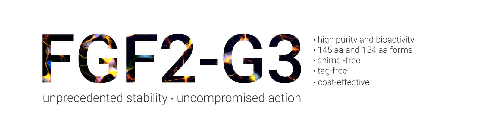 FGF2-G3-web-banner-1600_no_enantis