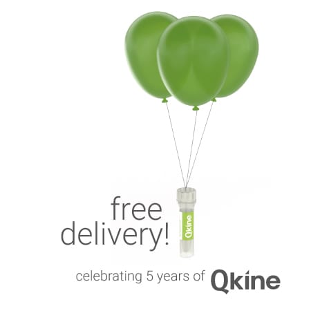 sq-delivery-2
