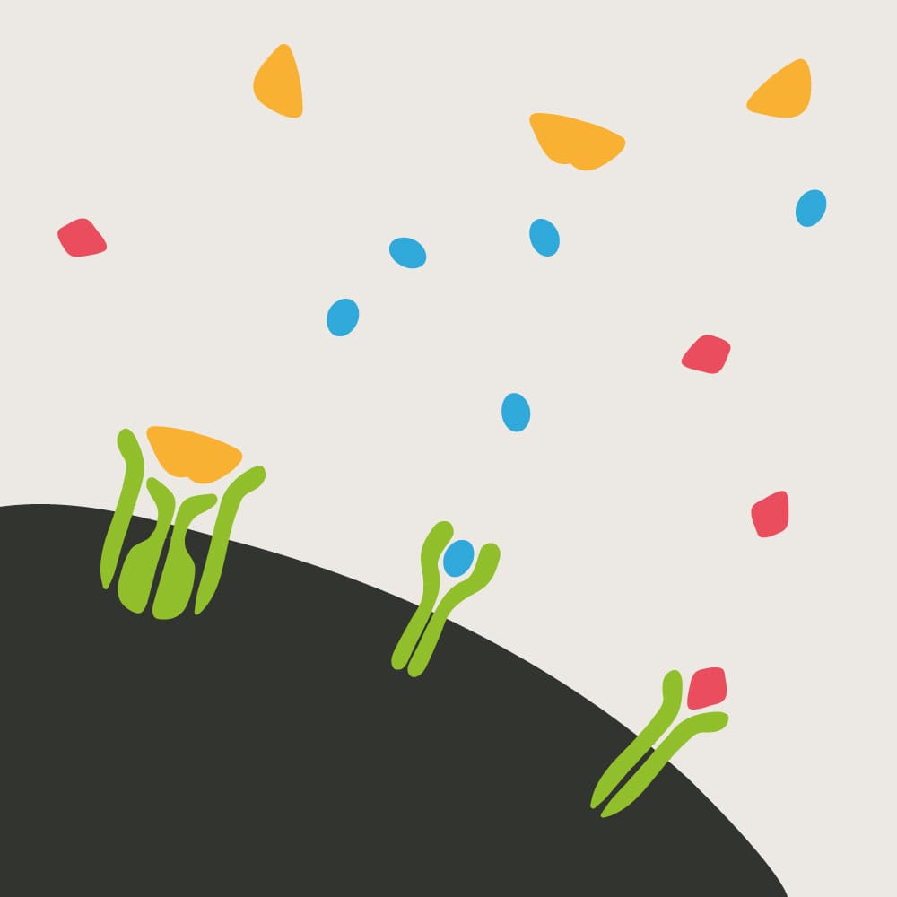 Cytokines 1