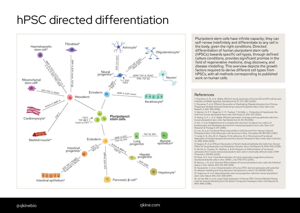 Ipsc differentiation a4