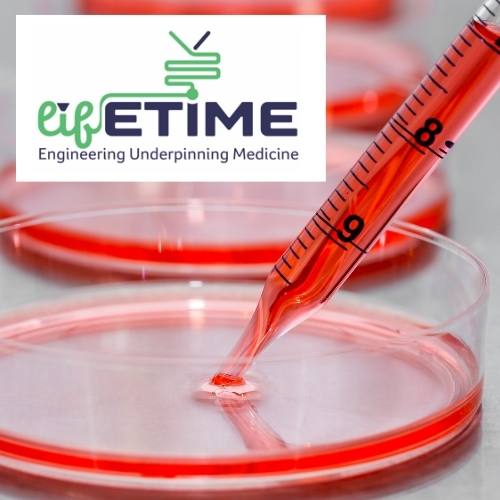 Cell culture image