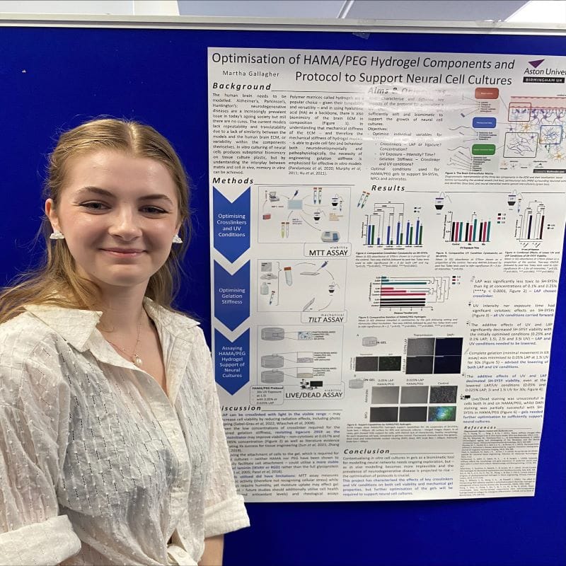 Martha Gallagher-neural-stem-cell