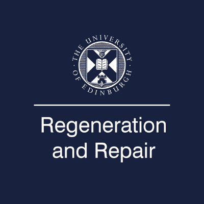 IRR logo