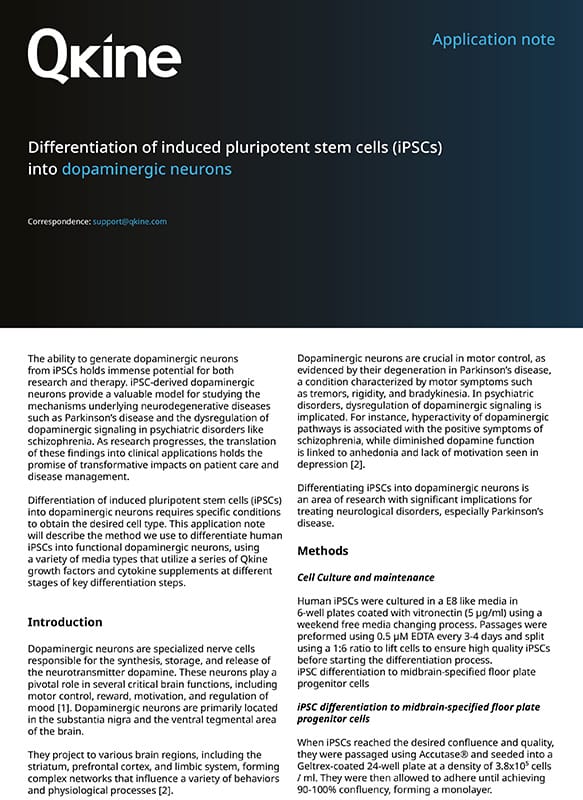 Differentiation of human induced pluripotent stem cells (iPSC) into dopaminergic neurons