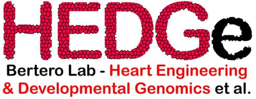 logo-01