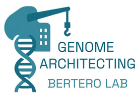 Bertero lab logo