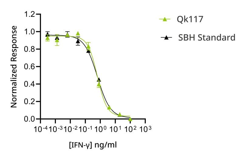 20241030 IFNgamma 204692 SBH comparison bioassay 800