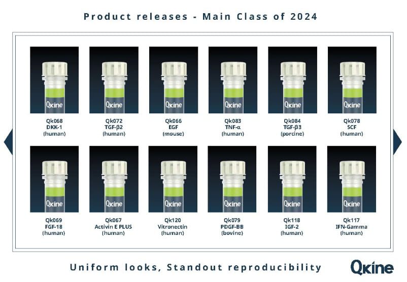 Qkine Product Launch Class of 2024 image