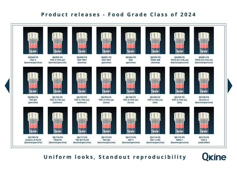 Class of 2024 v1.5 Artboard 3