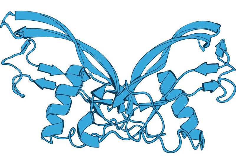 Protein tags, why and why not? image