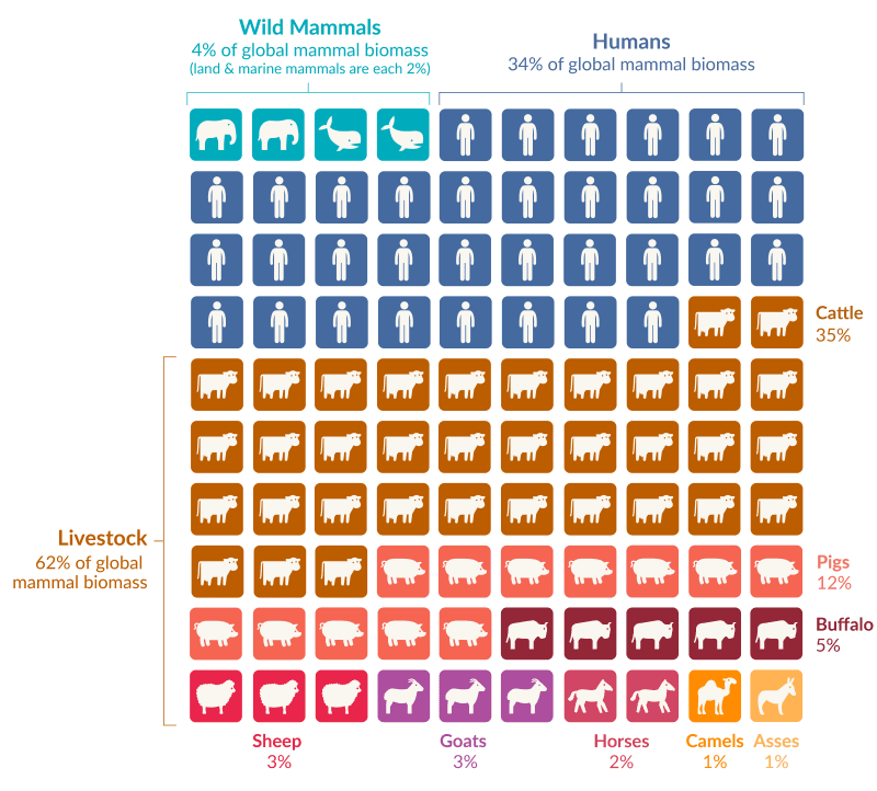 Representation of world mammal biomass