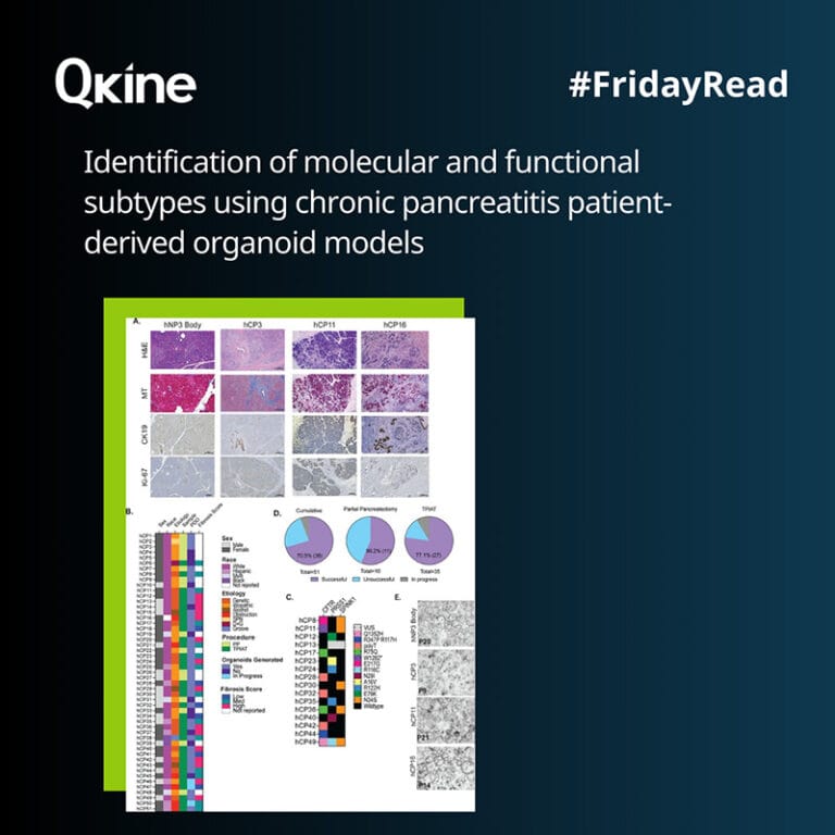 #FridayRead 25 April 2025 image