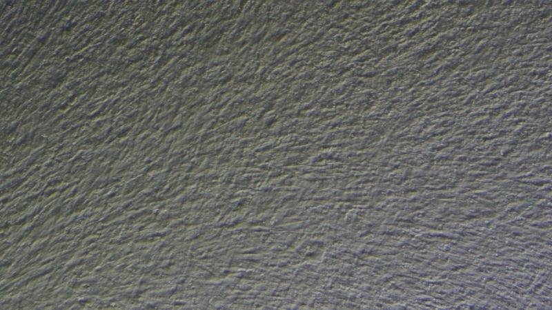Sable muscle 100ng TGF B1 100X 800 2