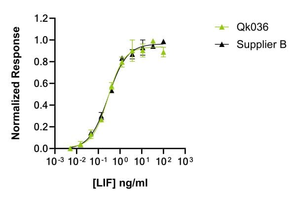20240626 LIF comparison
