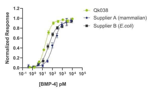 20240626-Qk038-BMP-4-comparison