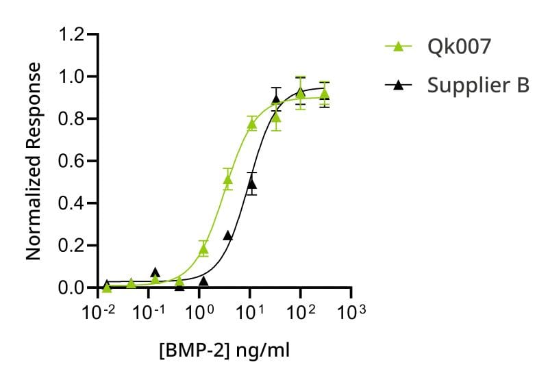 20241015 BMP2 bioassay comparison 800