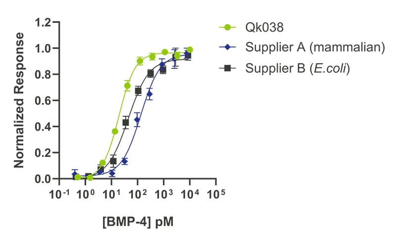 20250315 Qk038 BMP 4 comparison