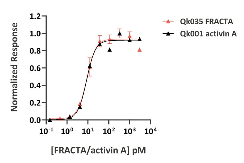 ActA 013 vs FRACTA 1