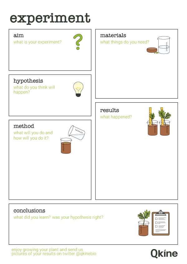 Childrens-lab-book-layout