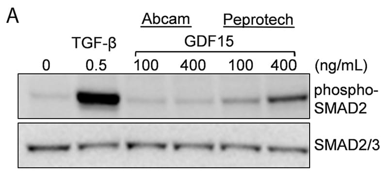 Figure 1A