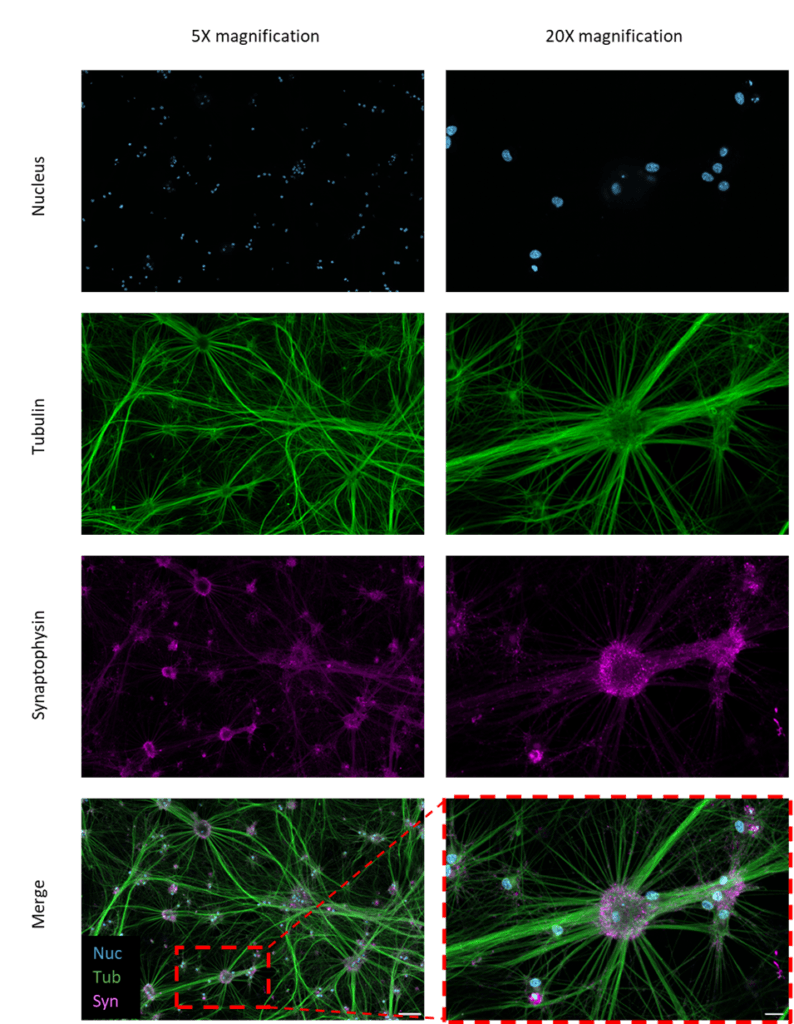 Figure 2 1