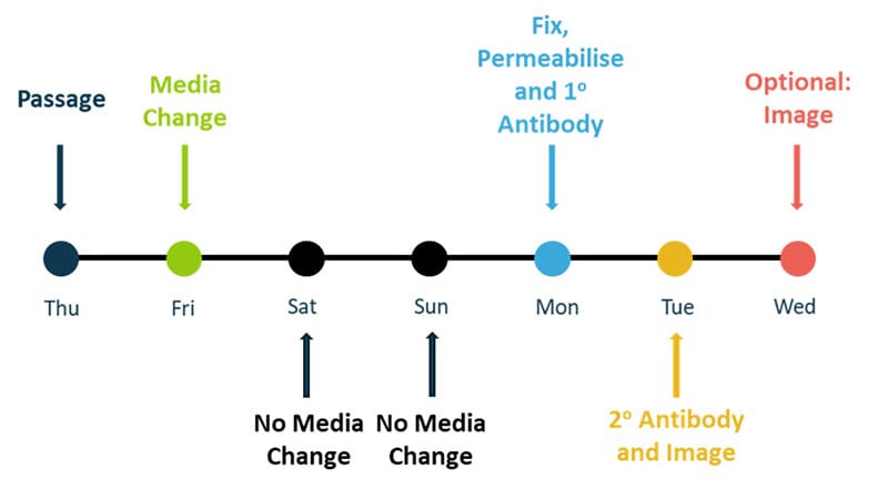 Figure 2 3