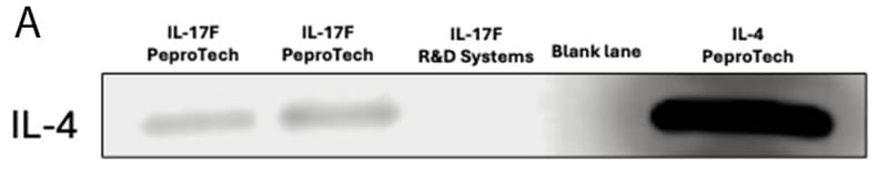 Figure 2A