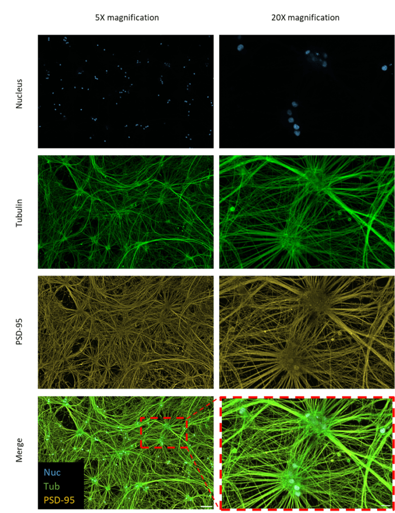 Figure 3 1