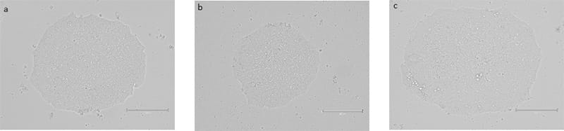 Figure 3 labelled