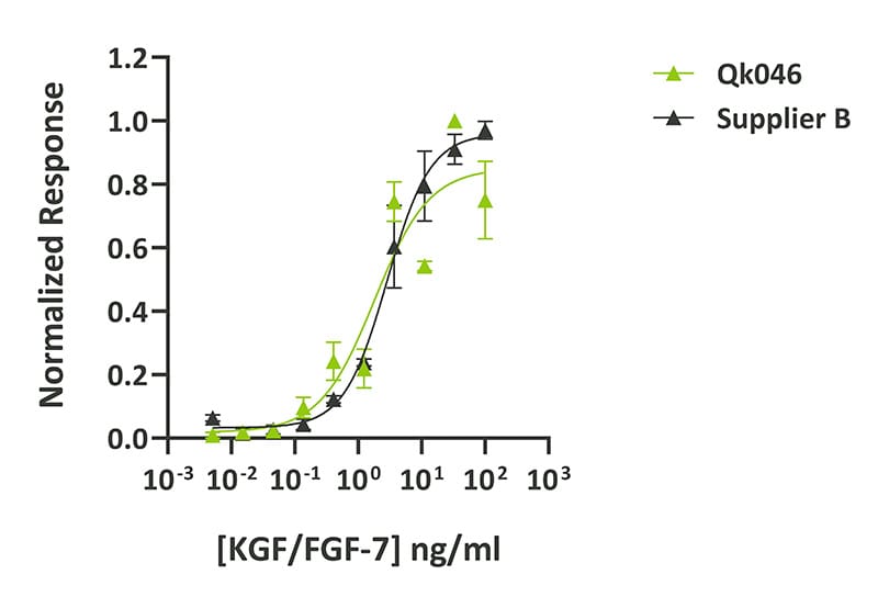 KGF bioacitivity comparison