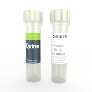 Qk018 mouse LIF vial image
