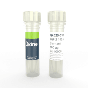 Qk025 FGF-2 145 aa vial image