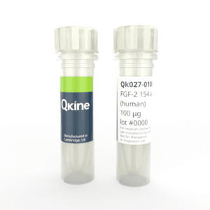 Qk027 FGF-2 154 aa vial image