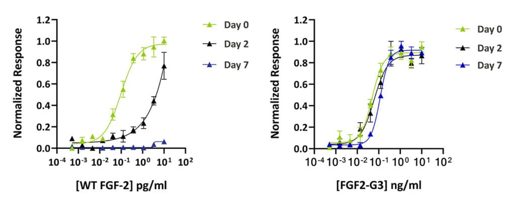 Qk027 vs FGF2 G3 stability