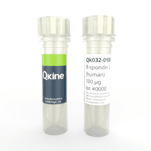 Qk032 R-spondin 3 vial image