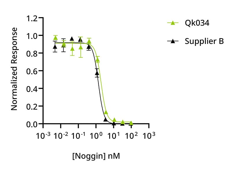 Qk034 hNoggin comparison