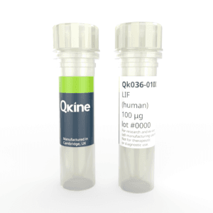 Qk036 human LIF vial image
