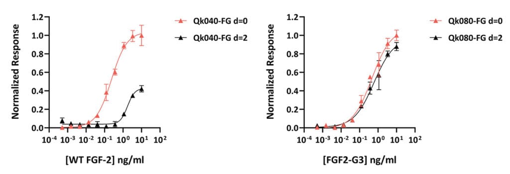 Qk040 FG vs Qk080 FG stability