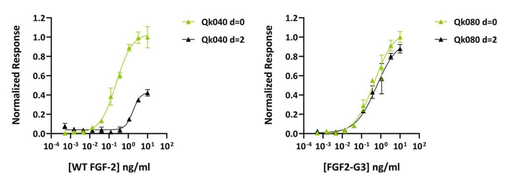 Qk040 vs Qk080 timecourse stability