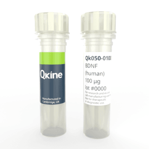 Recombinant human BDNF protein (Qk050) image