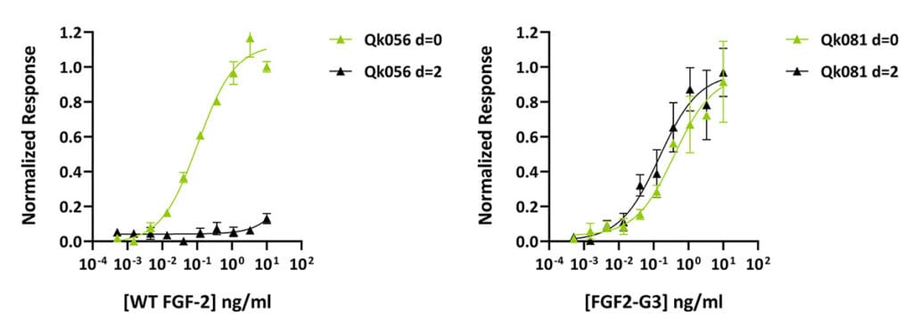Qk056 vs Qk081 timecourse