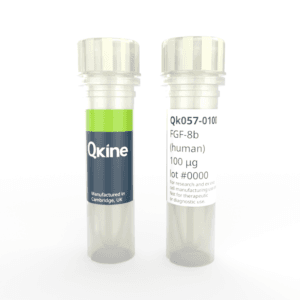 Qk057 FGF-8b vial image