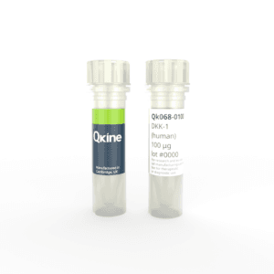 Recombinant human DKK-1 protein (Qk068) image