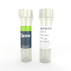 Qk070 GDF-5 vial image