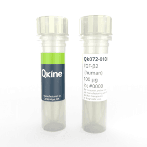 Qk072 TGF beta 2 vial image